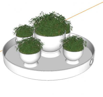 托盘盆栽SU模型下载_sketchup草图大师SKP模型