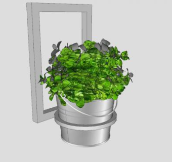 铁桶植物SU模型下载_sketchup草图大师SKP模型