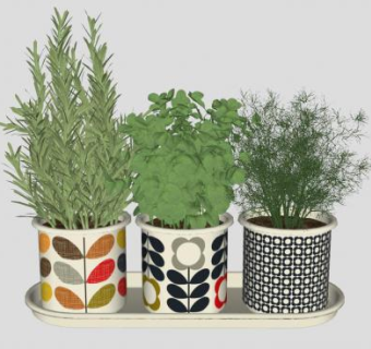 北欧盆栽装饰品SU模型下载_sketchup草图大师SKP模型