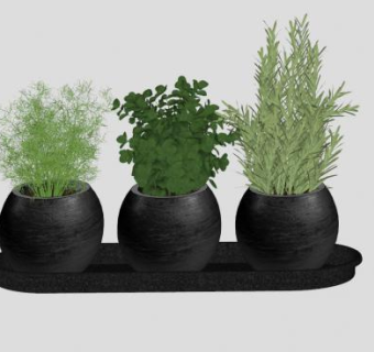 简约盆栽SU模型下载_sketchup草图大师SKP模型