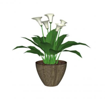 马蹄莲圆锥形盆栽SU模型下载_sketchup草图大师SKP模型