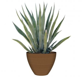 龙舌兰盆栽植物SU模型下载_sketchup草图大师SKP模型