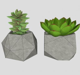 几何形多肉盆栽SU模型下载_sketchup草图大师SKP模型