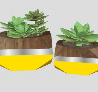 现代多肉盆栽sketchup模型下载_sketchup草图大师SKP模型