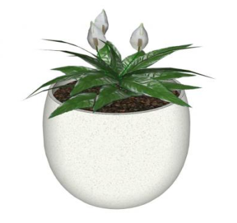 圆形陶瓷白掌盆栽SU模型下载_sketchup草图大师SKP模型