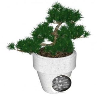 松树盆景SU模型下载_sketchup草图大师SKP模型