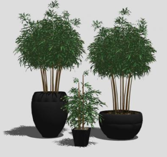 庭院盆景树SU模型下载_sketchup草图大师SKP模型