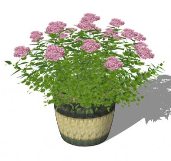 粉色绣球花盆栽SU模型下载_sketchup草图大师SKP模型