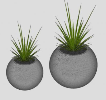 圆形观草盆栽SU模型下载_sketchup草图大师SKP模型