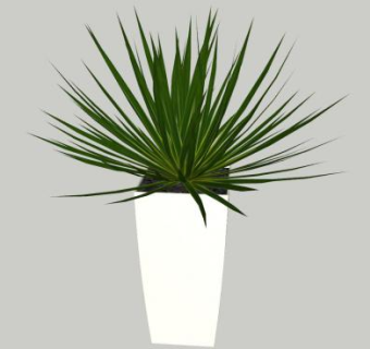 观赏草盆栽SU模型下载_sketchup草图大师SKP模型