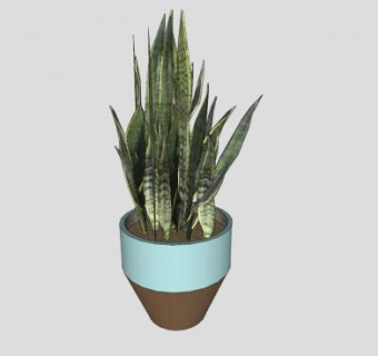 虎尾兰盆景SU模型下载_sketchup草图大师SKP模型