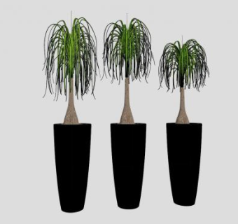 象脚树盆景SU模型下载_sketchup草图大师SKP模型