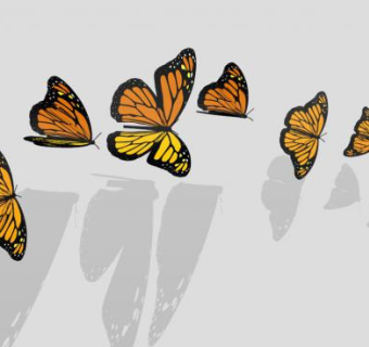 昆虫su模型下载_sketchup草图大师SKP模型