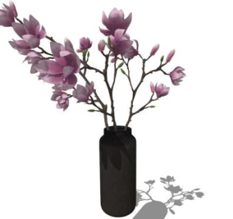 紫玉兰SU模型下载_sketchup草图大师SKP模型