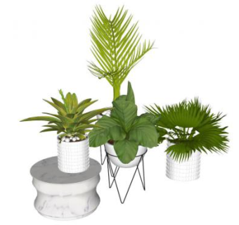 室内盆栽su模型下载_sketchup草图大师SKP模型