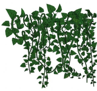 攀藤植物su模型下载_sketchup草图大师SKP模型