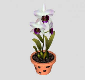 兰花盆栽SU模型下载_sketchup草图大师SKP模型