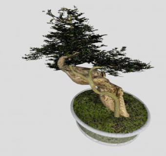 盆景树植物SU模型下载_sketchup草图大师SKP模型