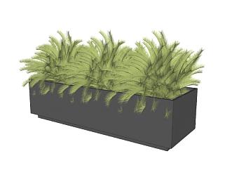 花箱植物sketchup模型下载_sketchup草图大师SKP模型