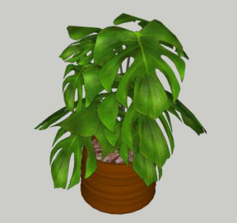 龟背竹盆景SU模型下载_sketchup草图大师SKP模型