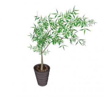 小竹子盆栽SU模型下载_sketchup草图大师SKP模型