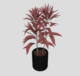 观叶观赏盆栽SU模型下载_sketchup草图大师SKP模型