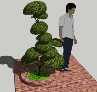 灌木盆景SU模型下载_sketchup草图大师SKP模型