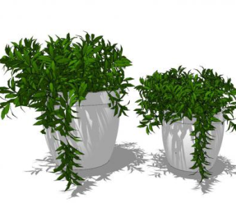 陶瓷花瓶盆栽SU模型下载_sketchup草图大师SKP模型