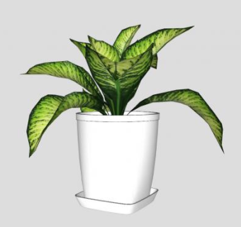 小型植物盆栽SU模型下载_sketchup草图大师SKP模型