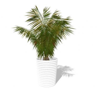 棕榈盆栽SU模型下载_sketchup草图大师SKP模型