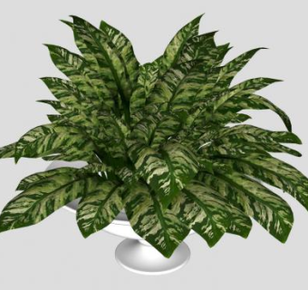 欧式花钵植物SU模型下载_sketchup草图大师SKP模型