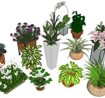 各类盆栽装饰品SU模型下载_sketchup草图大师SKP模型