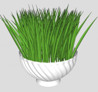 观赏草花钵SU模型下载_sketchup草图大师SKP模型