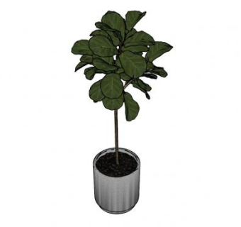 观赏树简约盆景SU模型下载_sketchup草图大师SKP模型