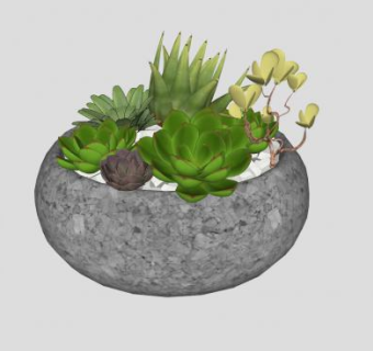 多肉花盆SU模型下载_sketchup草图大师SKP模型