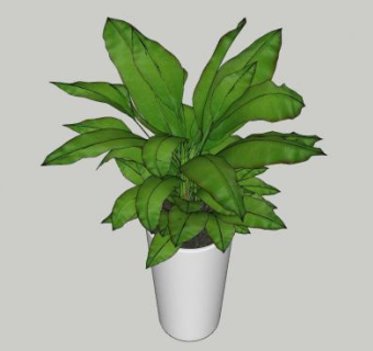 大型观叶盆栽SU模型下载_sketchup草图大师SKP模型