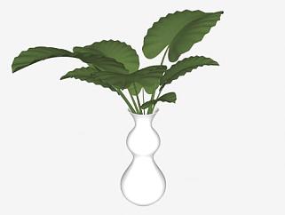 葫芦形花瓶植物SU模型下载_sketchup草图大师SKP模型