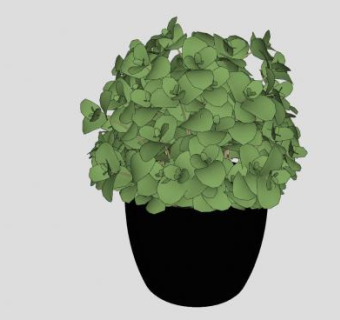 黑色叶盆SU模型下载_sketchup草图大师SKP模型