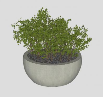 盆栽装饰sketchup模型下载_sketchup草图大师SKP模型