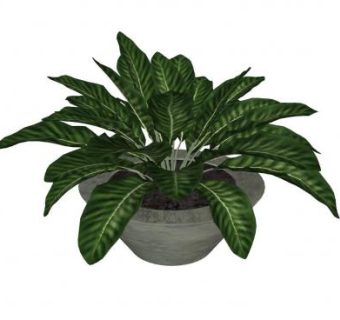 盆景盆SU模型下载_sketchup草图大师SKP模型