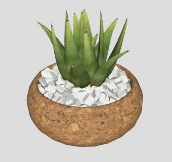 小型芦荟盆栽SU模型下载_sketchup草图大师SKP模型