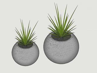 灰色陶盆植物SU模型下载_sketchup草图大师SKP模型
