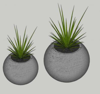 灰色陶盆植物SU模型下载_sketchup草图大师SKP模型