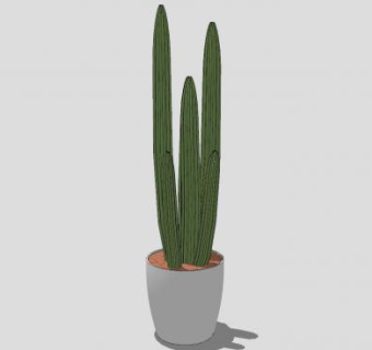 仙人掌观赏盆栽SU模型下载_sketchup草图大师SKP模型