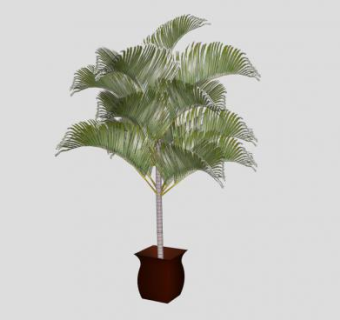 庭院棕榈盆栽SU模型下载_sketchup草图大师SKP模型