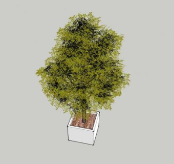 观赏盆景树SU模型下载_sketchup草图大师SKP模型