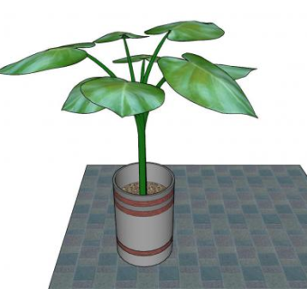 装饰植物大叶子盆栽SU模型下载_sketchup草图大师SKP模型
