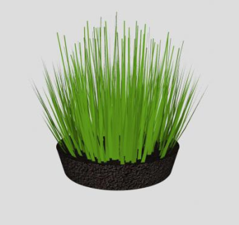 观赏草花盆SU模型下载_sketchup草图大师SKP模型