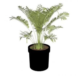 黑色盆栽棕榈SU模型下载_sketchup草图大师SKP模型