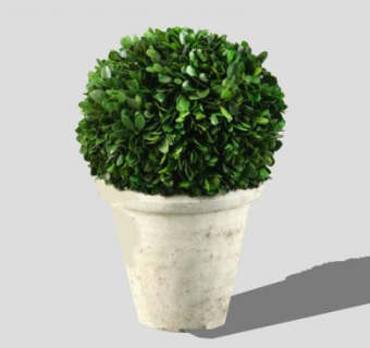 黄杨木盆栽SU模型下载_sketchup草图大师SKP模型